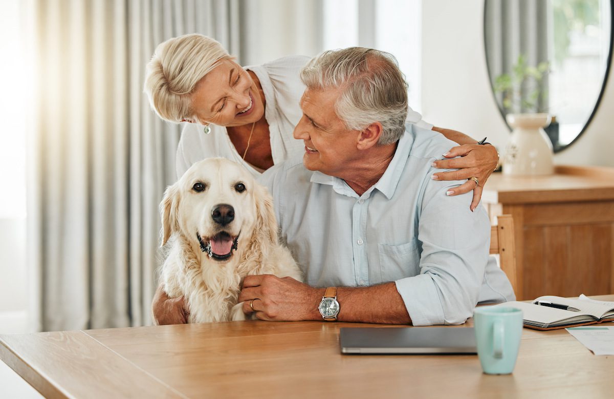 Best Credit Cards for Seniors for Pet Supplies - Mnepo