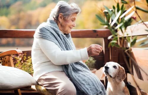 image - Seasons Hospice OK | End of Life Care | Tulsa, OK nutritional