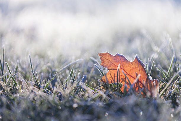 Chronic Pain Cold Weather